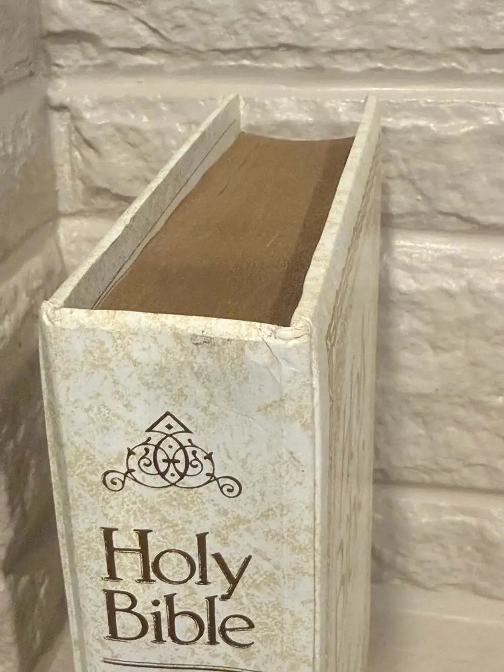 Nelson Regency Holy Bible King James Version Red Letter Edition 702WM